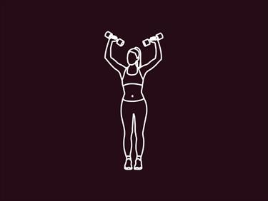 Image pour : DECOUVERTE MUSCULATION